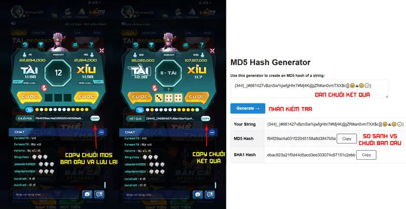 Hướng dẫn kiểm tra chuỗi MD5